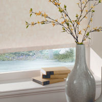 Yellow Roller Blinds